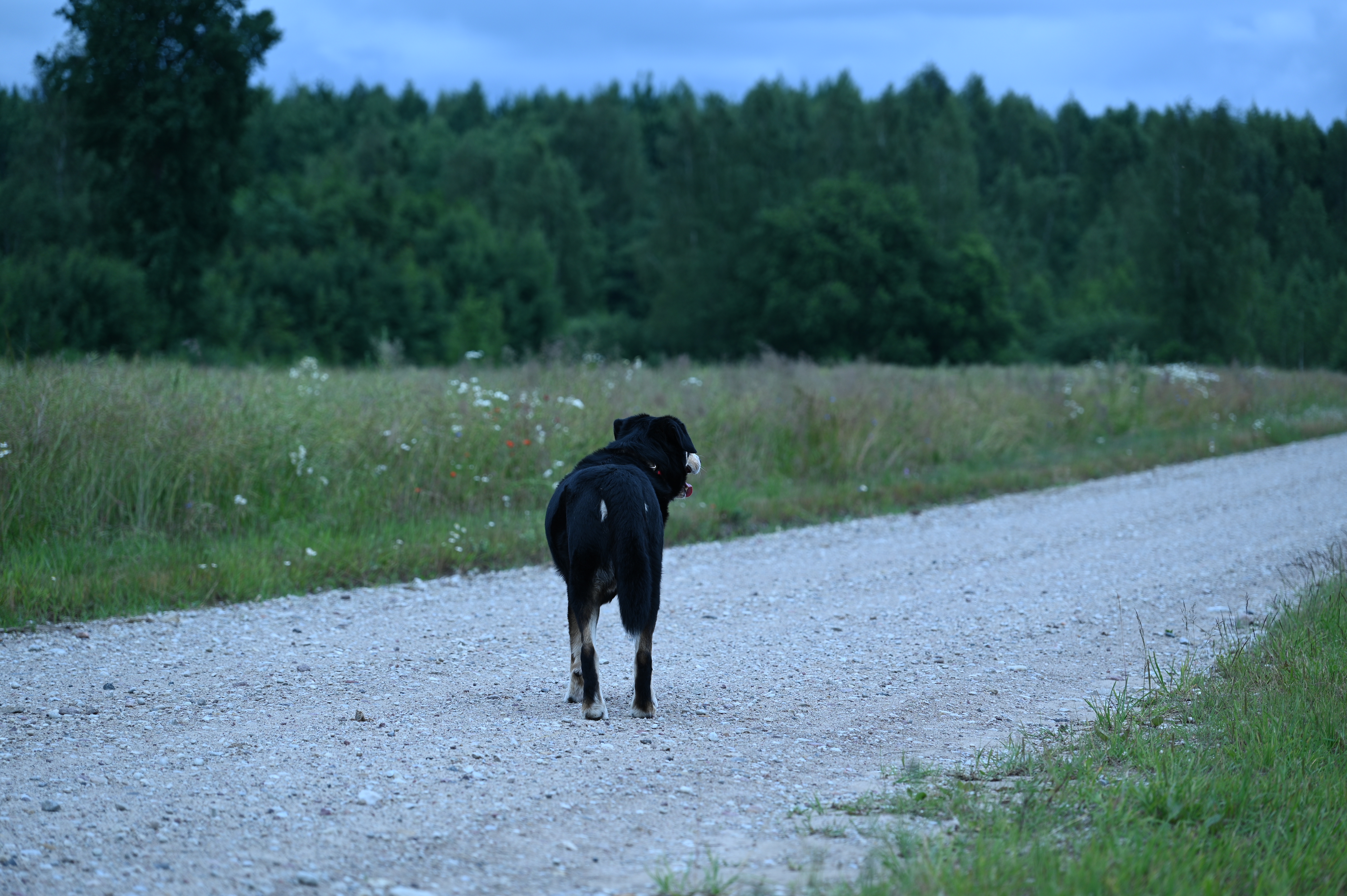 2025/07/09-14 - trip/DSC_0014.JPG